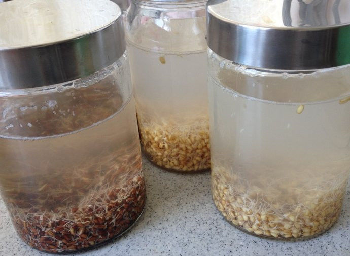 回春水的惊人功效和制作方法 - 新文明之光 - 新文明之光