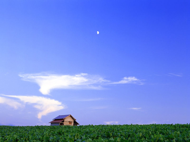 蓝天白云草原 - 雁飞墨行 - 精品博客