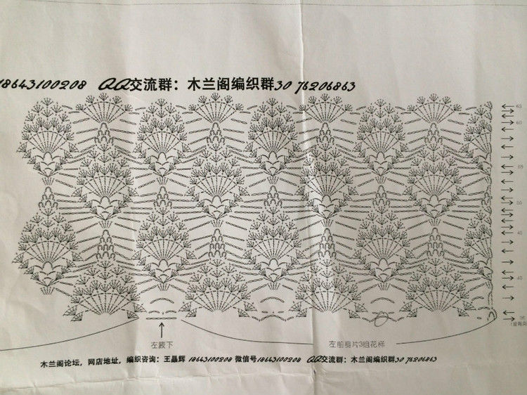 短款雀羽 （2015） - 瑜伽猫 - 瑜伽猫的博客