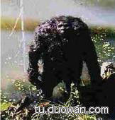 盘点中国神秘事件 至今为止仍然是未解之谜 (8)