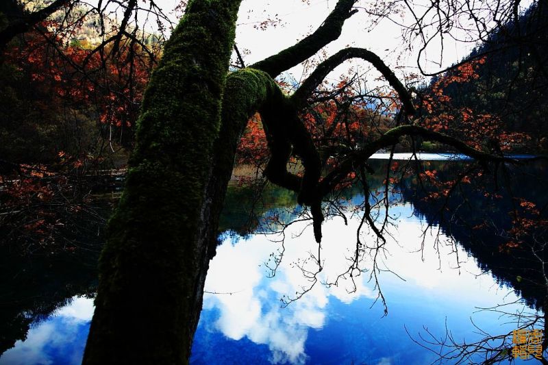 神奇九寨 人间天堂 - 香儿 - xianger