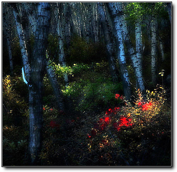 秋旖旎秋色 美不胜收  伊水一方 开心屋