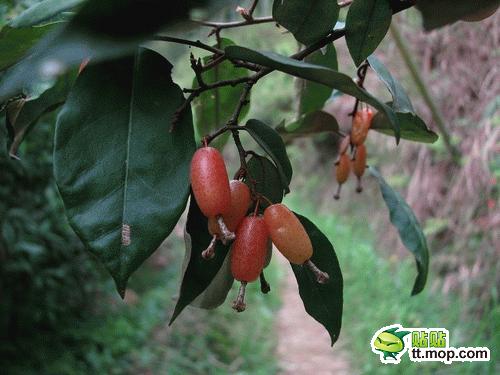 那些只属于出生在农村的80后记忆1339752233436