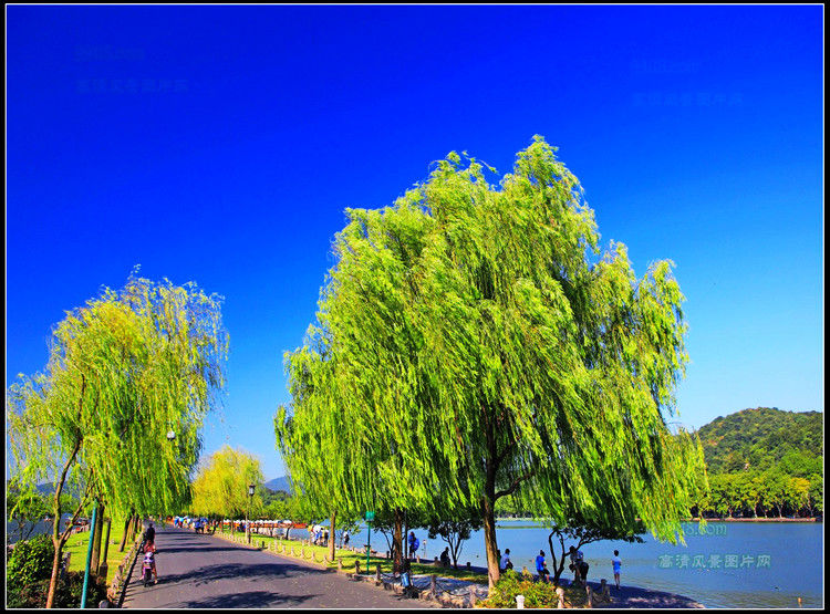 杭州湾风光 - 飞春 - 飞春博客