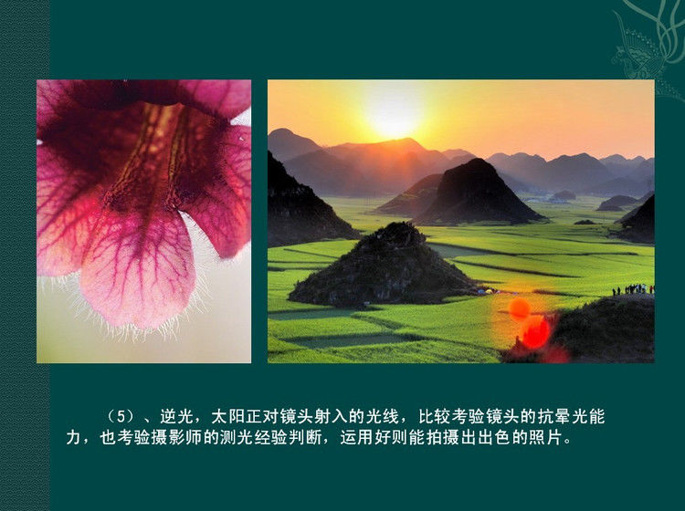 数码摄影入门讲座——摄影用光 - 遨游 - 遨游的博客