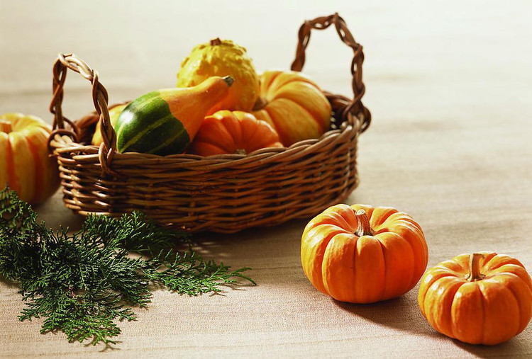 16个降血糖能手食品 - 空谷幽兰 - 空谷幽兰憩居