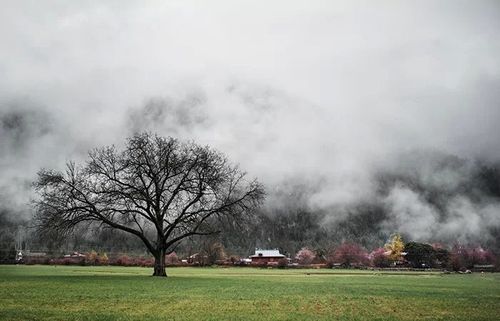 一花一世界 如何表现风光摄影中的意境之美 