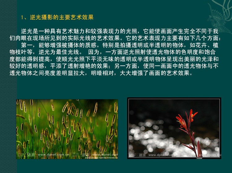 数码摄影入门讲座——摄影用光 - 遨游 - 遨游的博客