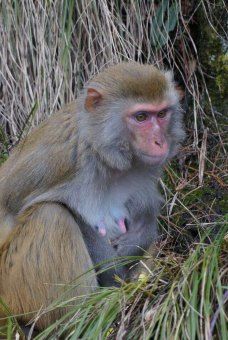 仙人洞-庐山-M108636229