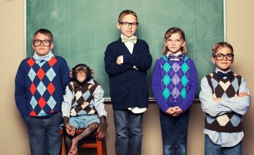 孩子，未来是你自己拼出来的