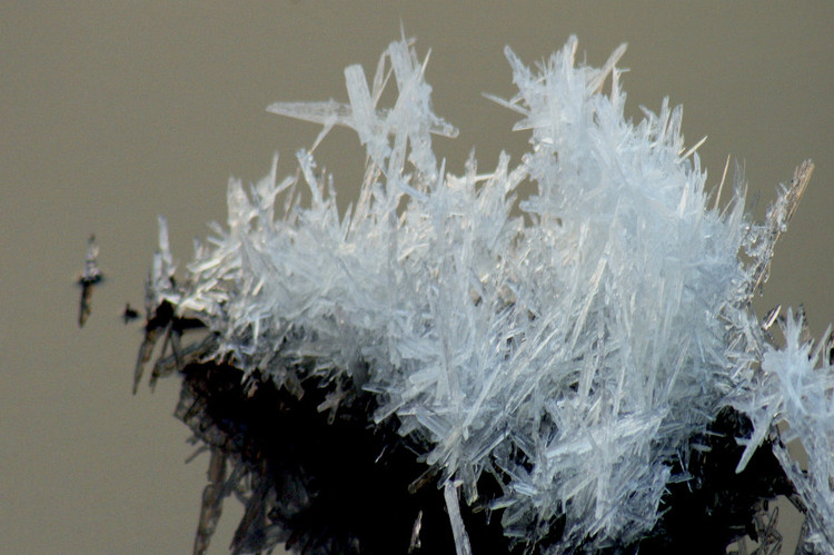 罕见的盐湖硝花（原创）