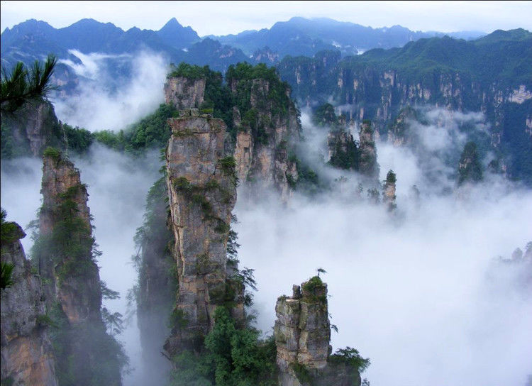 点击打开组图详情