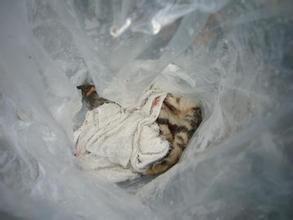 火葬场见闻——啊，人生如梦！活着才是王道啊。。。 - 俊哥儿 - 俊哥儿的博客(热点透视军情解密名人真相）