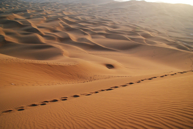 鄯善 - JOJO - JOJO带你游世界