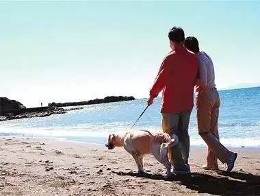 饭后“八不急”活到100岁！你们都做到了嘛？