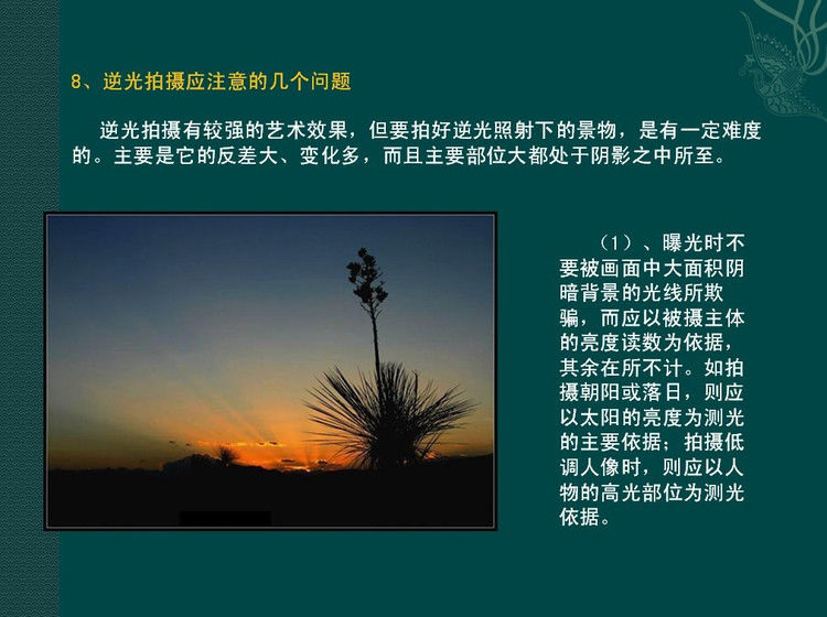 数码摄影入门讲座——摄影用光 - 遨游 - 遨游的博客