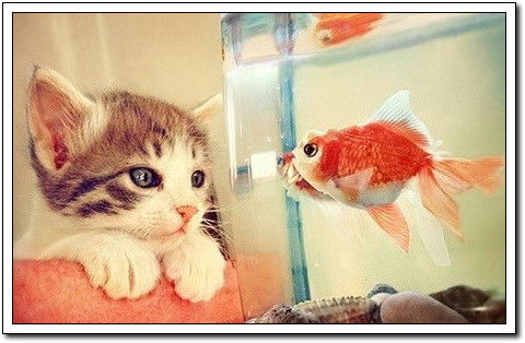 周末要轻松！【幽默图片50P】 - 無為居士 - 聚美齋