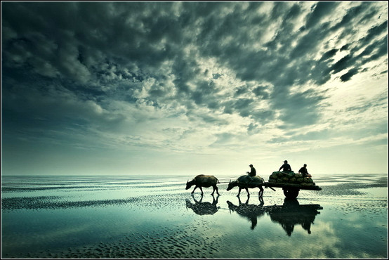 摄影口诀大全！【摄影知识】 - 無為居士 - 聚美齋