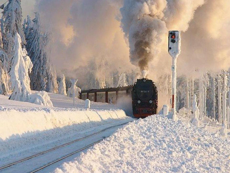 写给七十岁时的自己 - 老教授 - 老教授