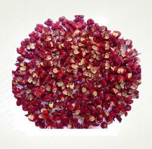 香菜煮水洗肾，花椒专治富贵病，蒲公英巧治慢性病 - 美体、情感、博文精品 - 美体情感、心灵驿站