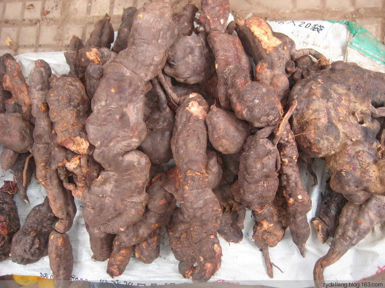 头发白了不用愁——天然染发剂 - 瀛子 - 瀛の小笺