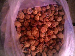 香沙。作用；驱腥增香。注；子酸汤。