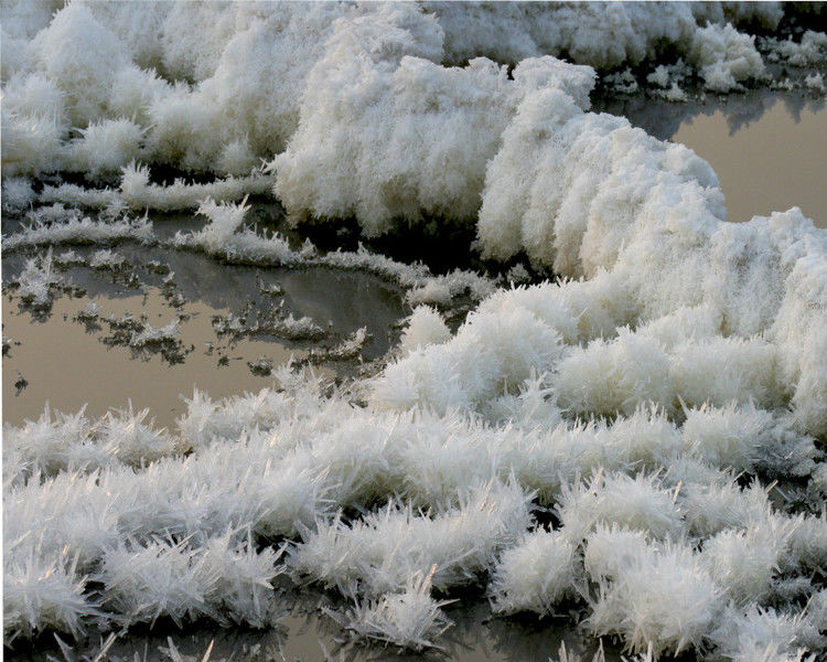 罕见的盐湖硝花（原创） -