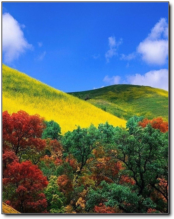 秋旖旎秋色 美不胜收  伊水一方 开心屋