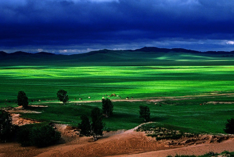 令人心醉的美！不看对不起自己的眼睛！ - 博爱友爱 - 博爱友爱