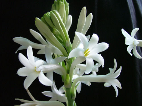 点击浏览下一张