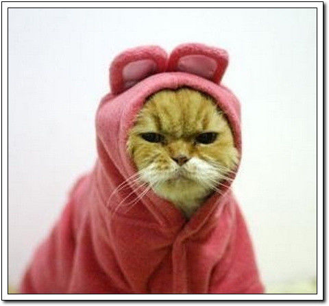 周末要轻松！【幽默图片50P】 - 無為居士 - 聚美齋