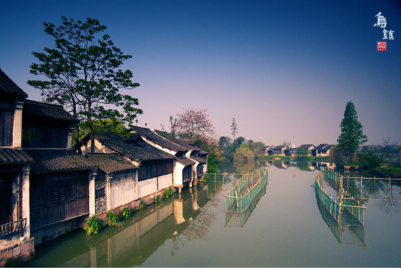 十里秦淮—水街 梦里水乡（图） - 玫瑰 - 