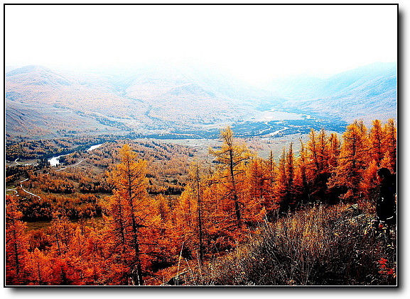 秋旖旎秋色 美不胜收  伊水一方 开心屋