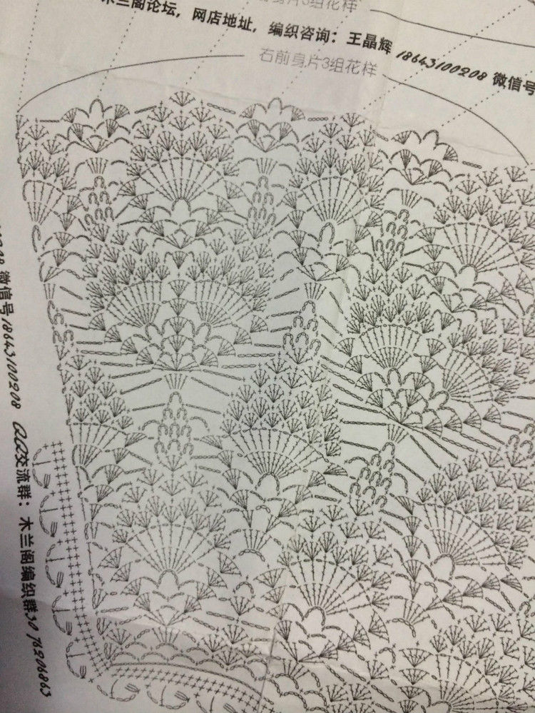 短款雀羽 （2015） - 瑜伽猫 - 瑜伽猫的博客