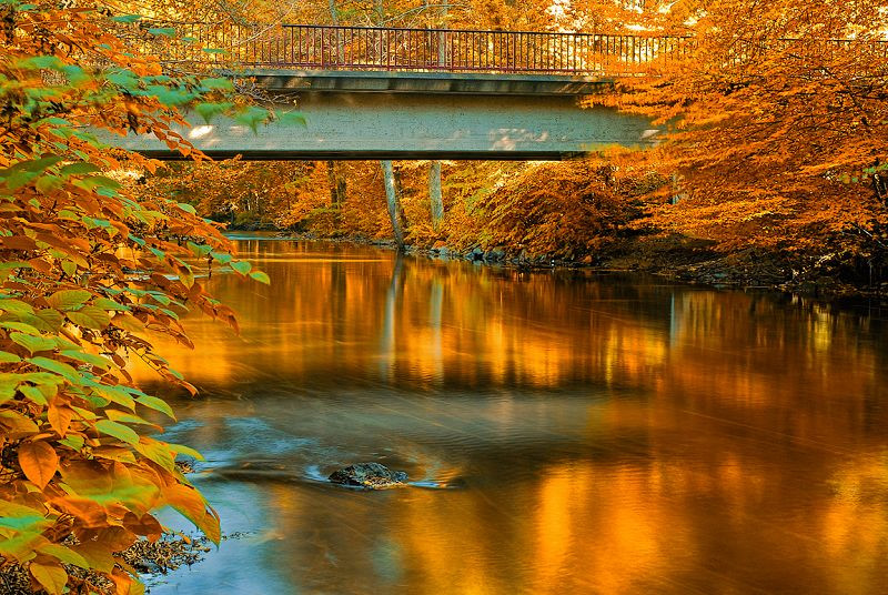 秋色赋……【美图共赏】 - 平安是福 - 平安是福的博客