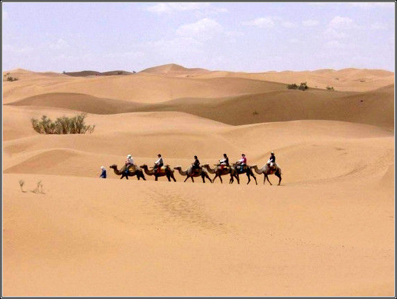 美丽中国之美景大全！【巨量合集】 - 無為居士 - 聚美齋