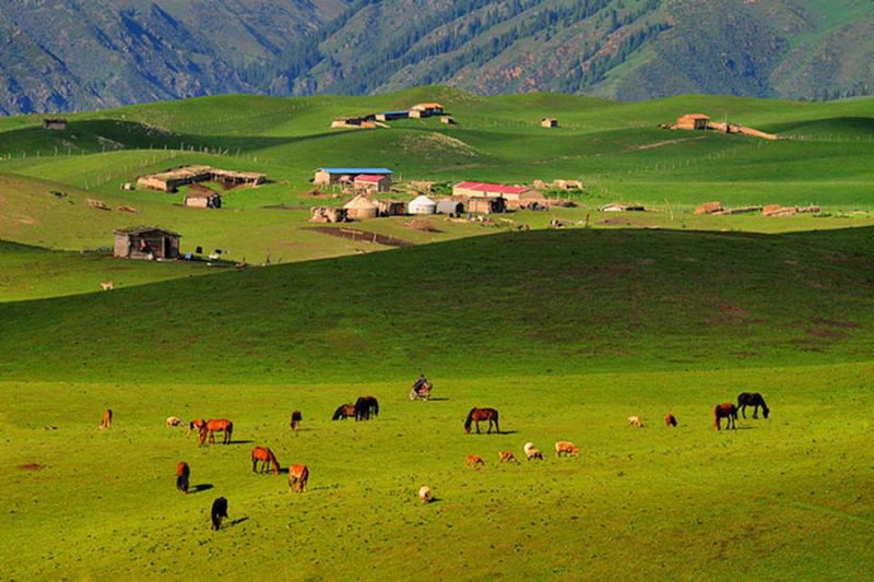 FJ073新疆美丽的高山牧场【26】 - PPT园地 - 永平的博客