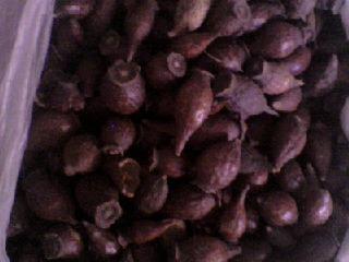 红英[别名；积实，金铃子。]功能；行气止痛，杀中，疗癣。作用；驱腥增香。