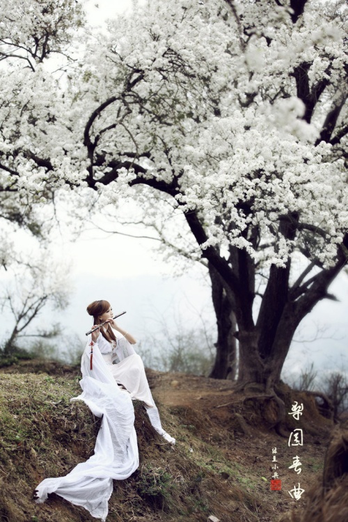 五十首最凄美的宋词 - 雨墨馨香 - 雨墨馨香 之 墨黛含烟