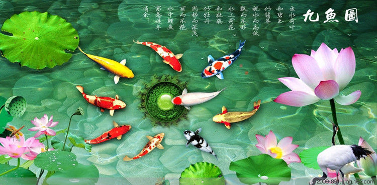 吉祥富贵“九鱼图“99幅，太漂亮了 - 宝贝梦 - 分享美丽·分享快乐·品味人生