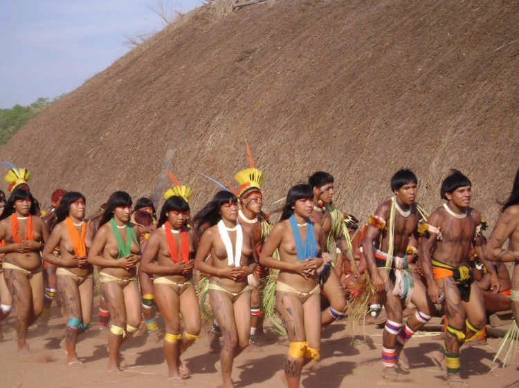 非洲部落选美 - 台湾白酒88坑道 - 论樽酒行--台湾名酒