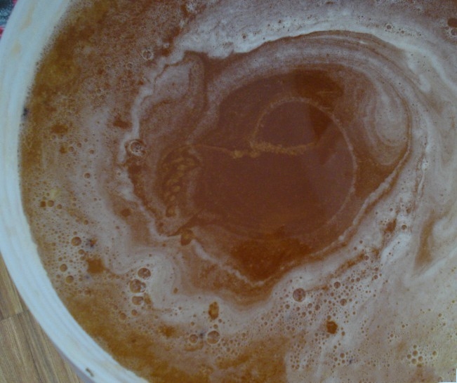 养蜂人女儿告诉你蜂蜜的真相