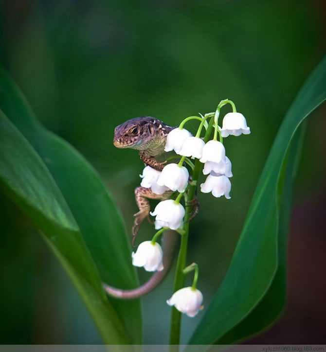 美！美的令人无法呼吸 - 色影无忌 - 色影无忌的博客