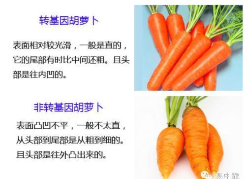 美国正式宣布转基因有毒!