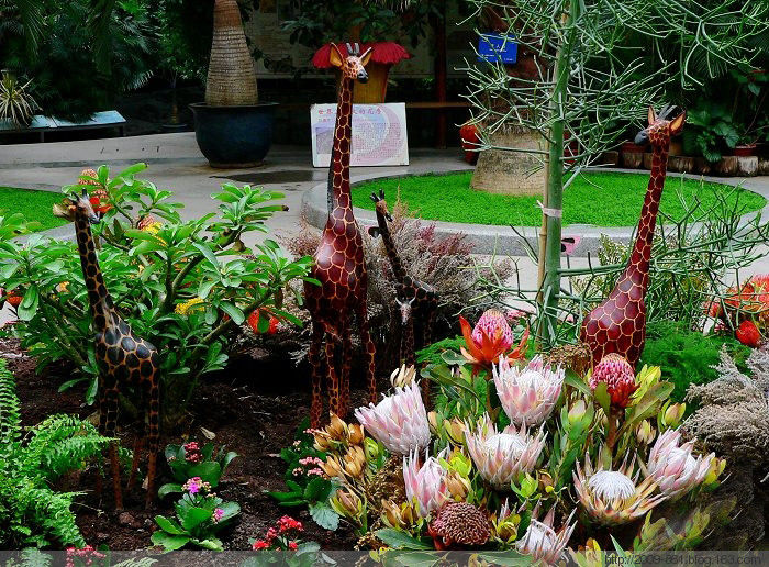 两性人体知识大全！不可不知... - 宝贝梦 - 分享美丽.分享快乐.品味人生