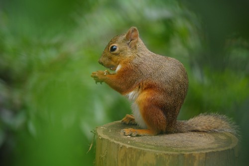 20个不可不知的摄影技巧