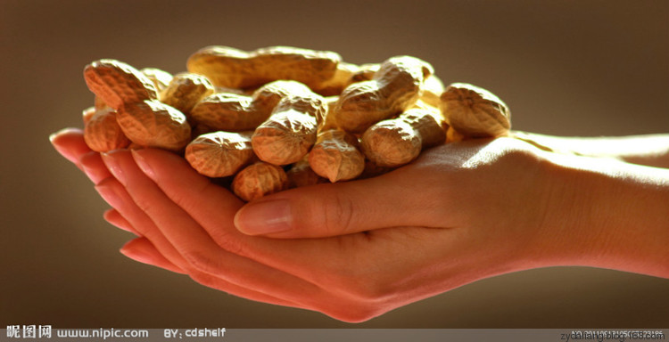 把花生米做到出神入化　你也可以做到 - 瀛子 - 瀛の小笺