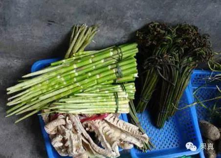 正宗的野果，很多城市人没吃过甚至没见过！