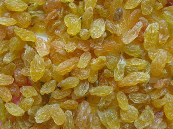 葡萄干加醋的神奇功效 - - 苦中求乐 - 苦中求乐的博客