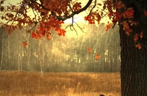 送你的133个生活小技巧